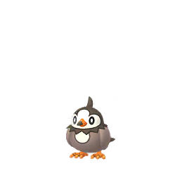 Sinnoh - 0396 - Starly